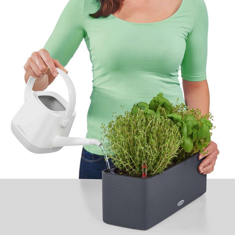 le_cube-color-triple_product_addi_watering